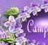 Campanula