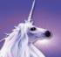 White Unicorn