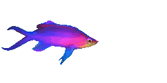 Done fish