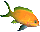 a fish