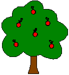 Apple tree